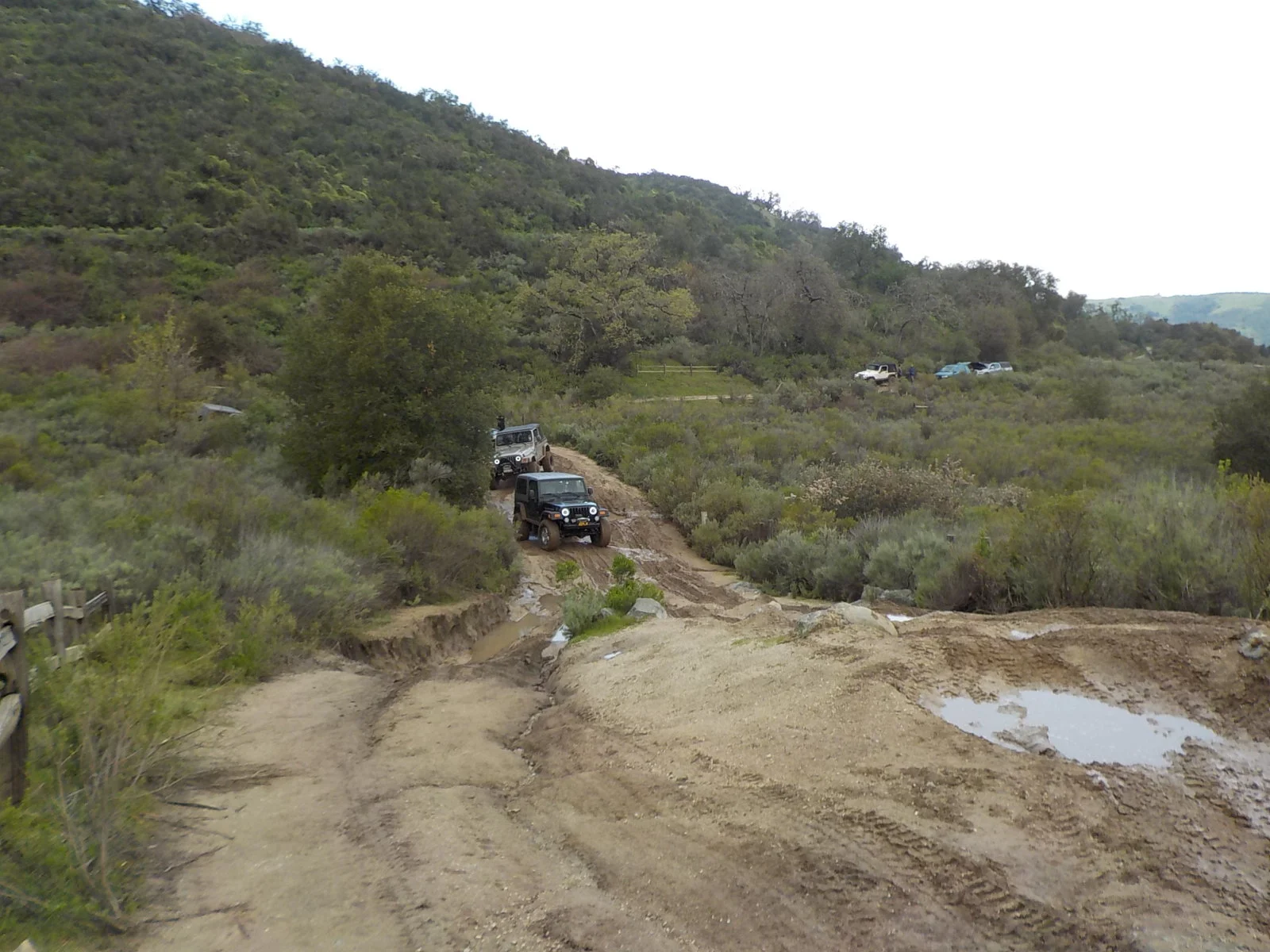 DSCN0961.webp
