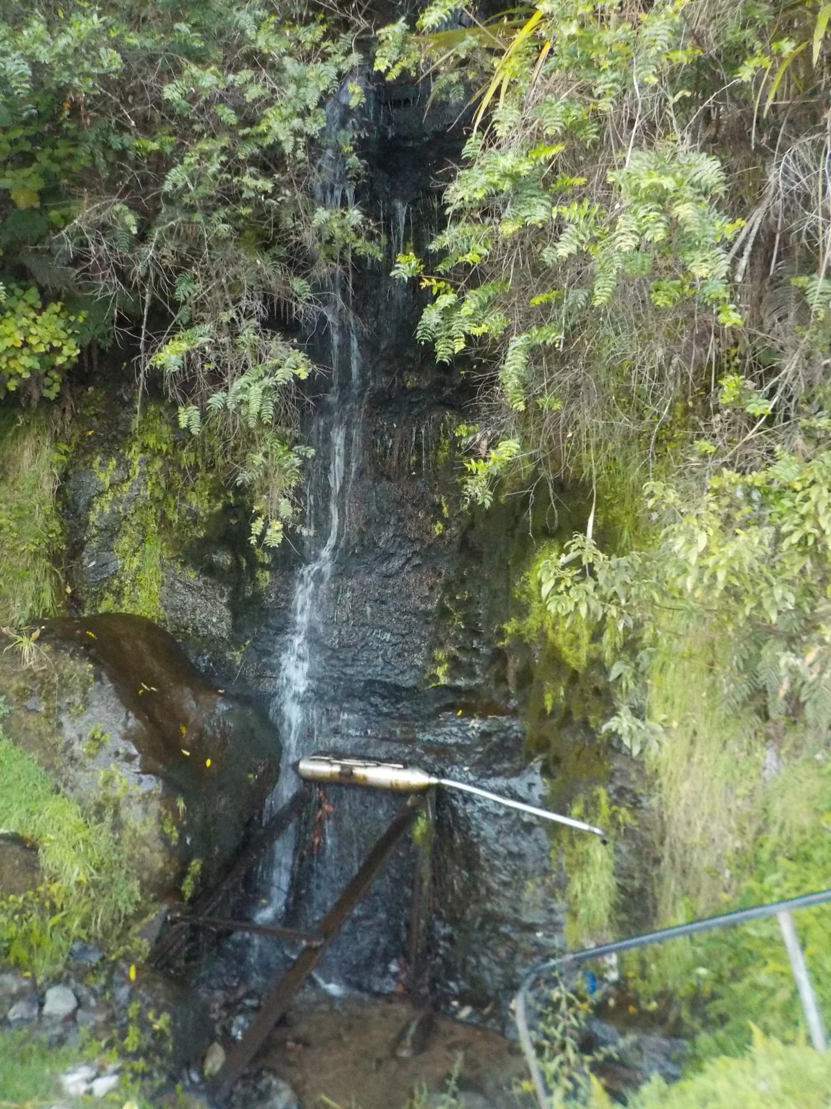 DSCN0962.webp