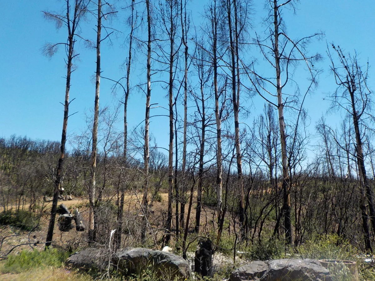 DSCN1039.webp