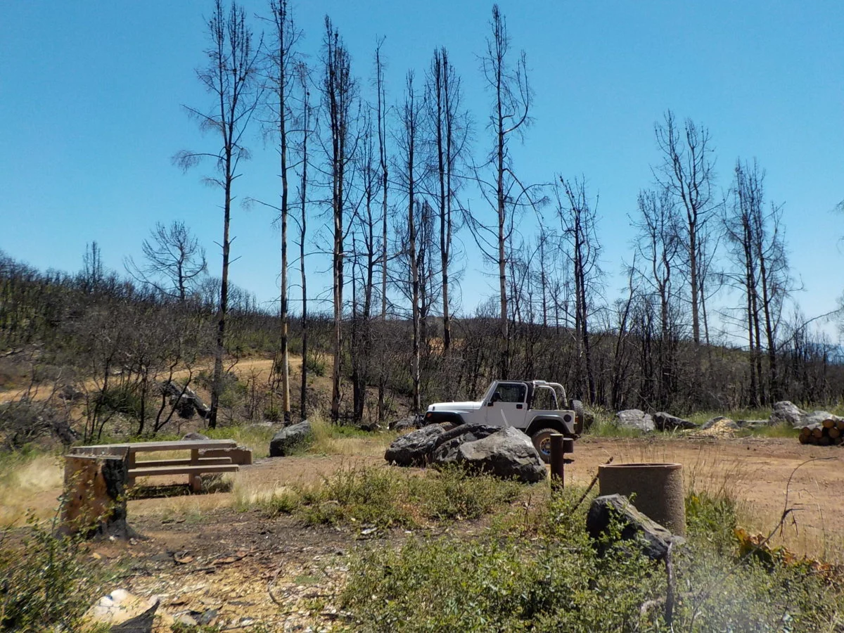 DSCN1045.webp