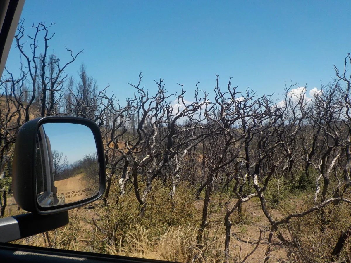 DSCN1048.webp