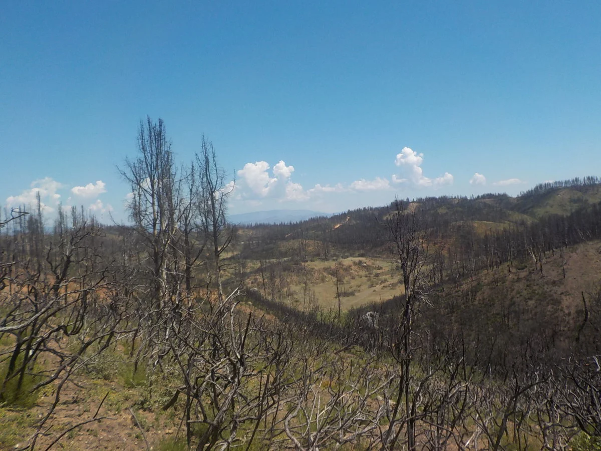 DSCN1049.webp