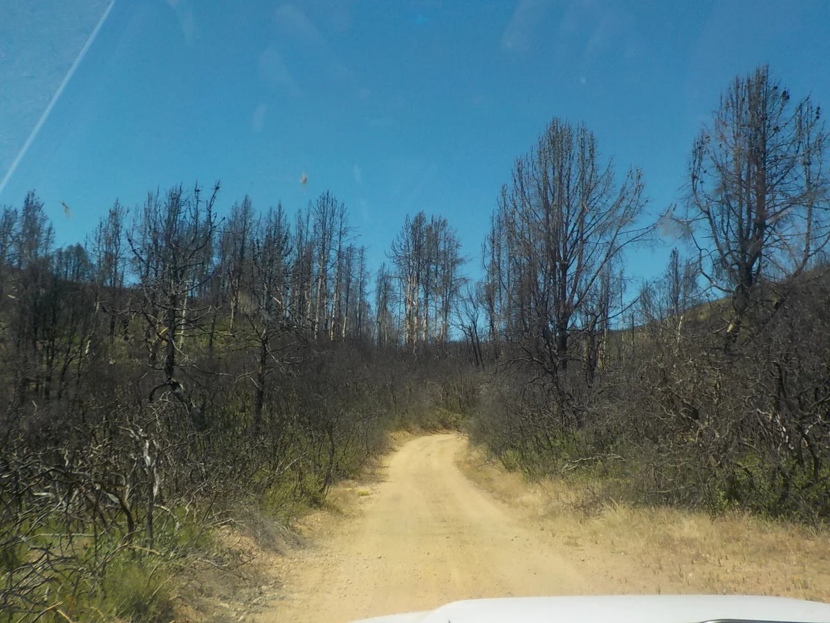 DSCN1051.webp
