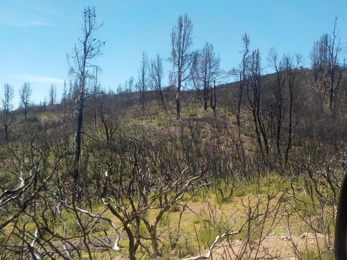 DSCN1052.webp