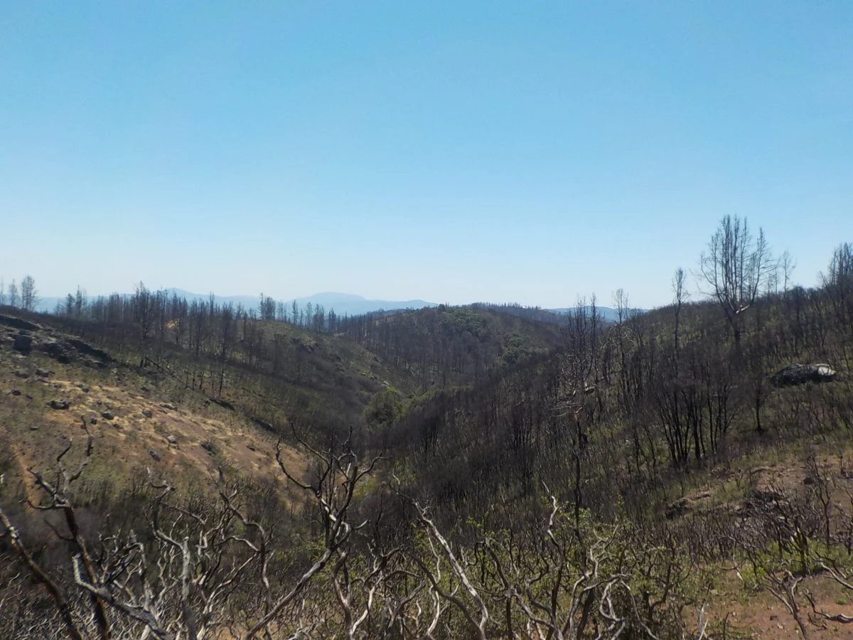 DSCN1053.webp