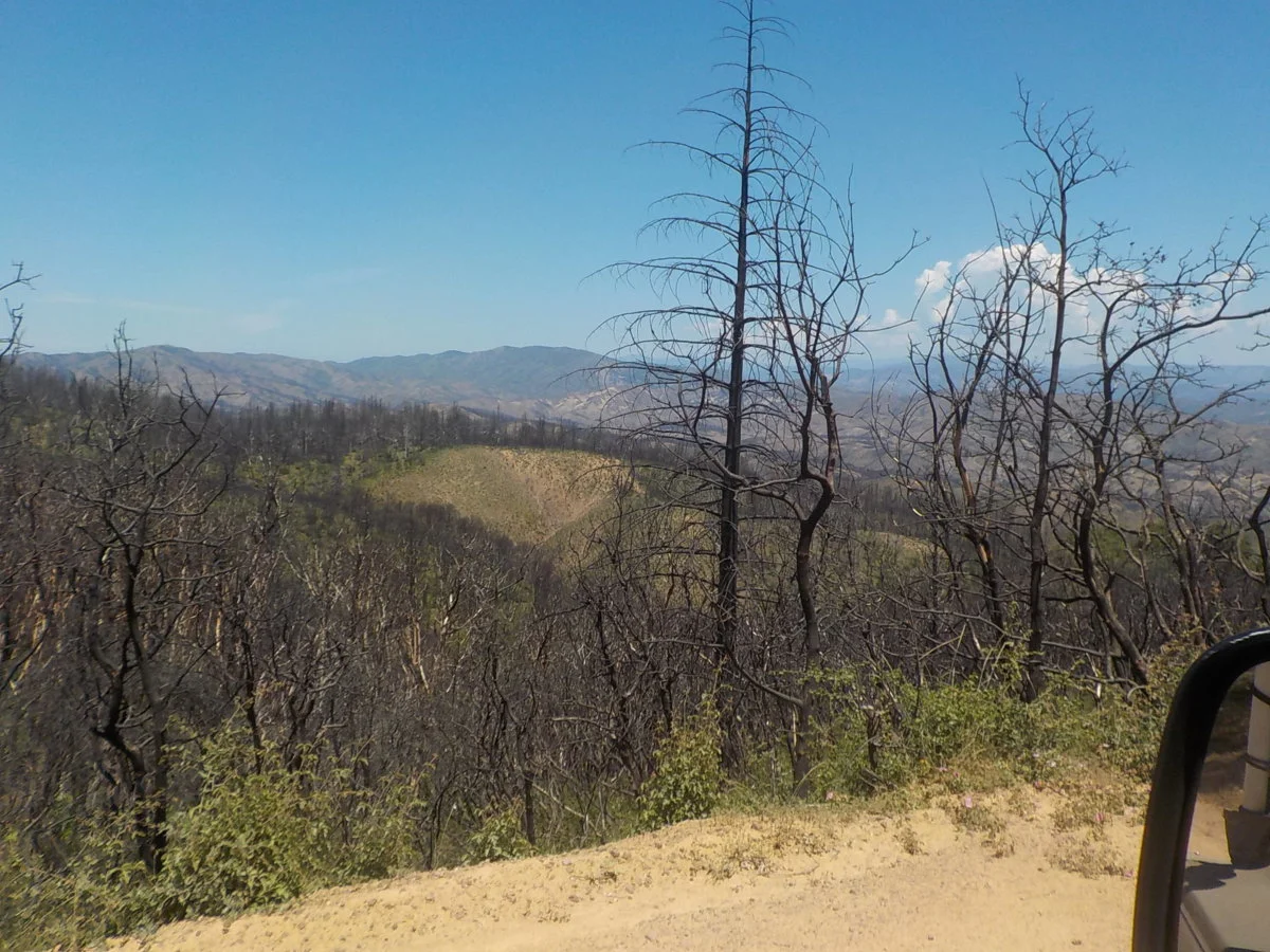 DSCN1055.webp