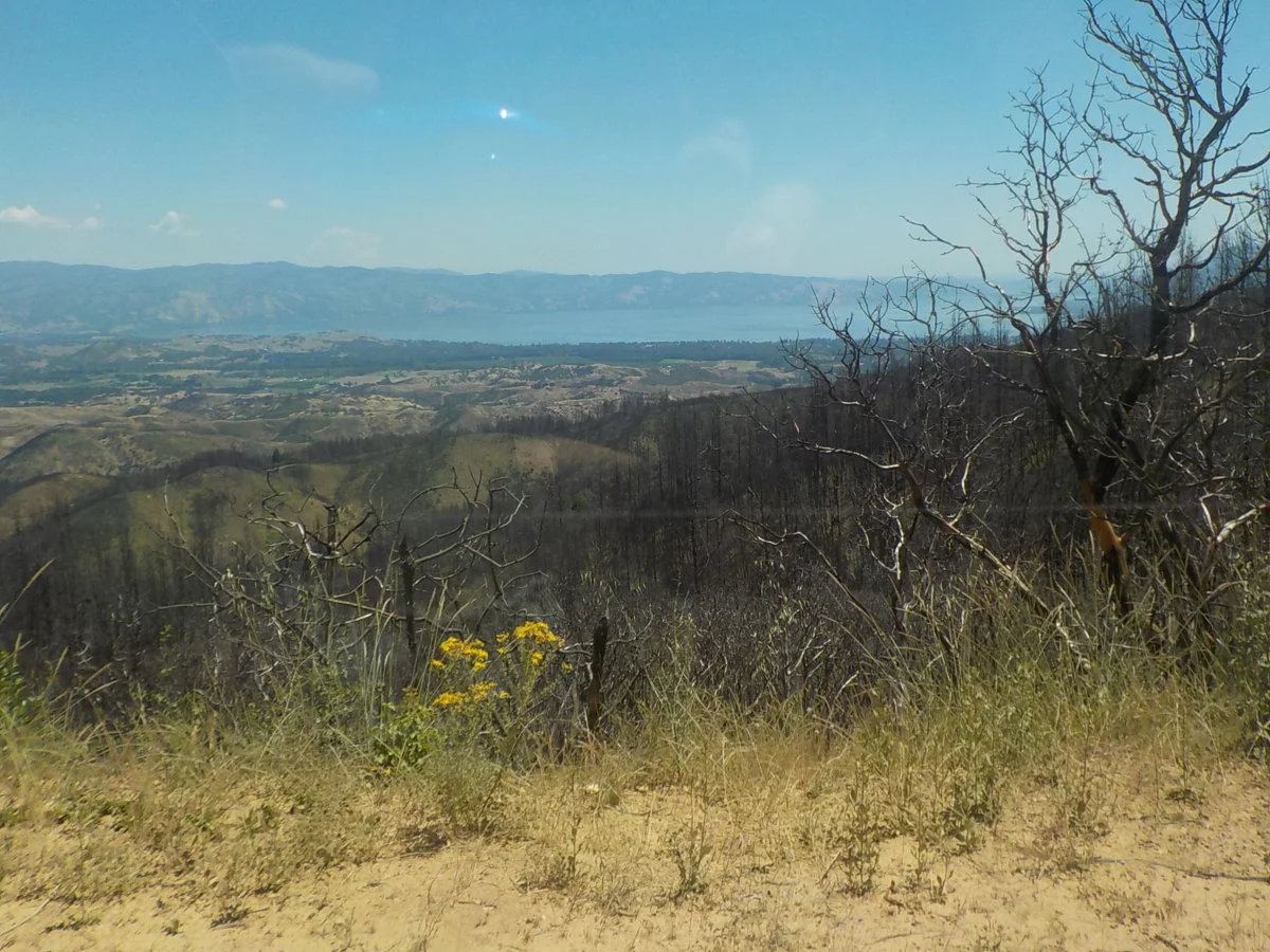 DSCN1056.webp