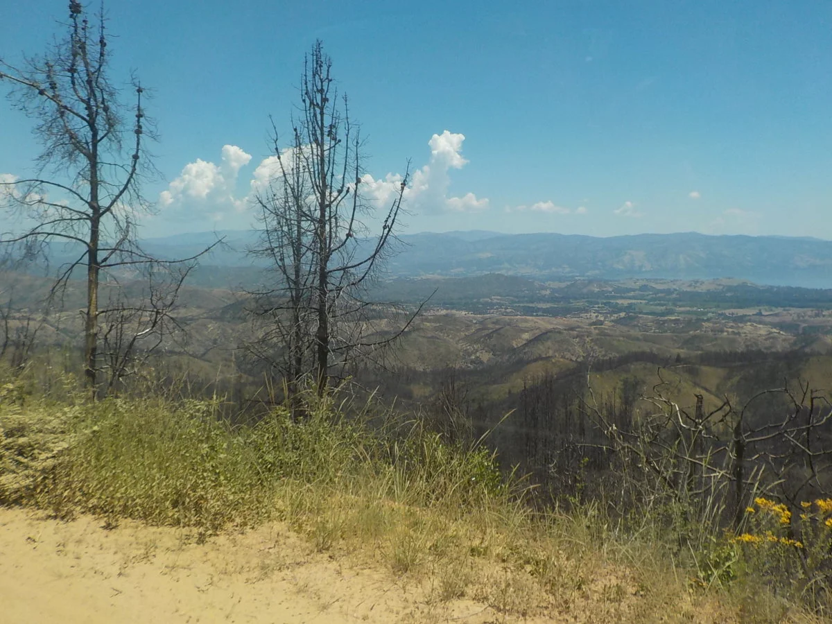 DSCN1057.webp