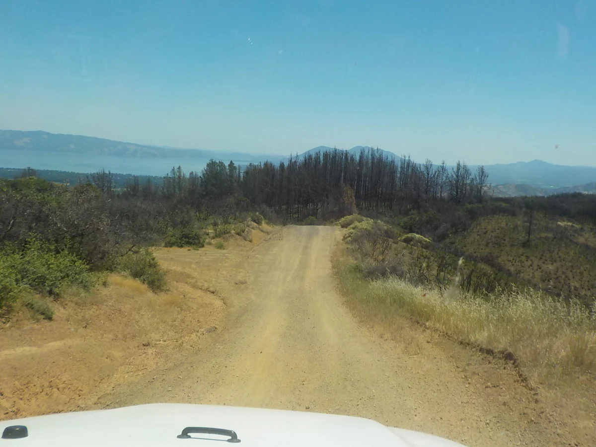 DSCN1058.webp