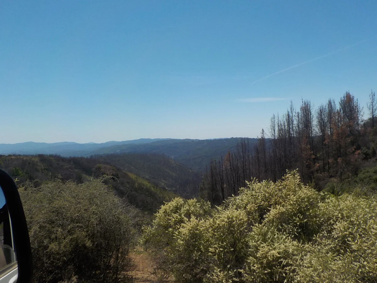 DSCN1059.webp