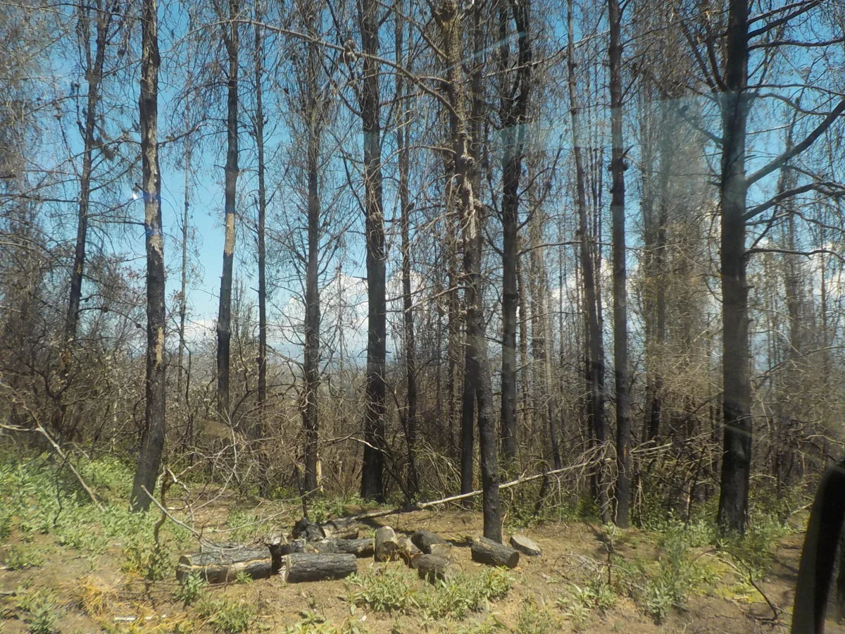 DSCN1061.webp