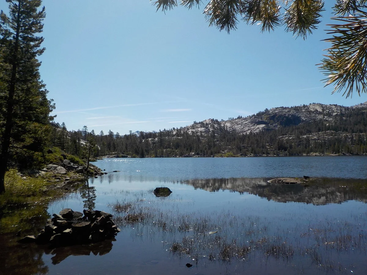 DSCN1081.webp