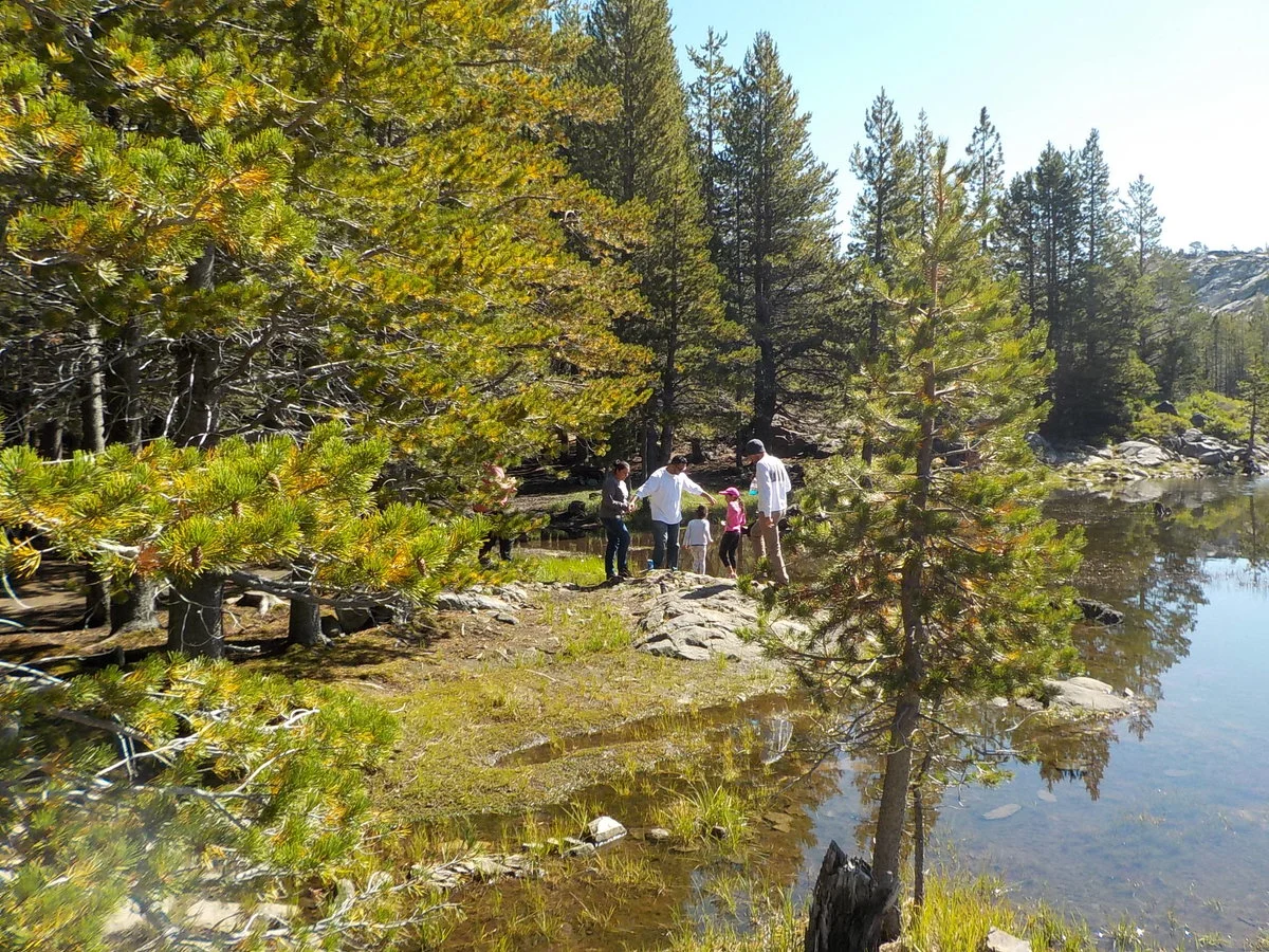 DSCN1082.webp