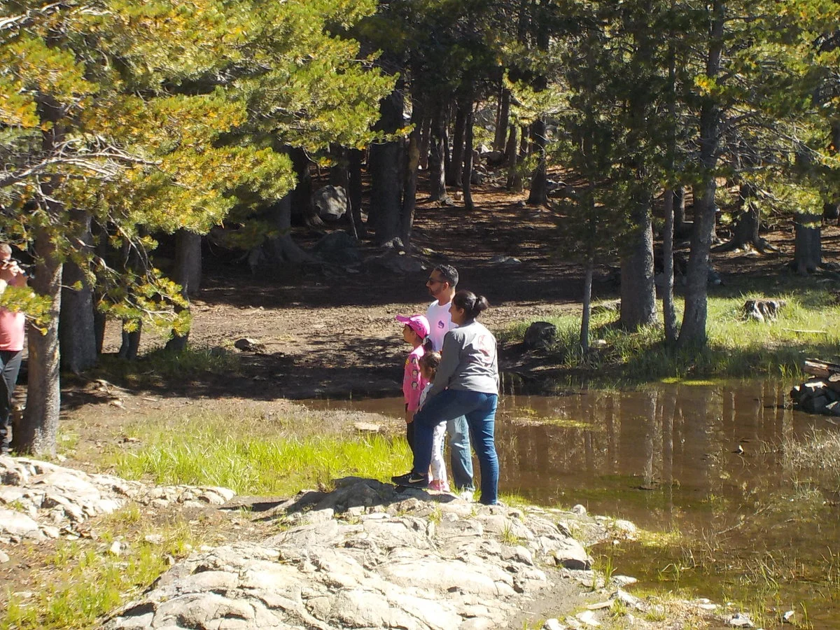 DSCN1083.webp