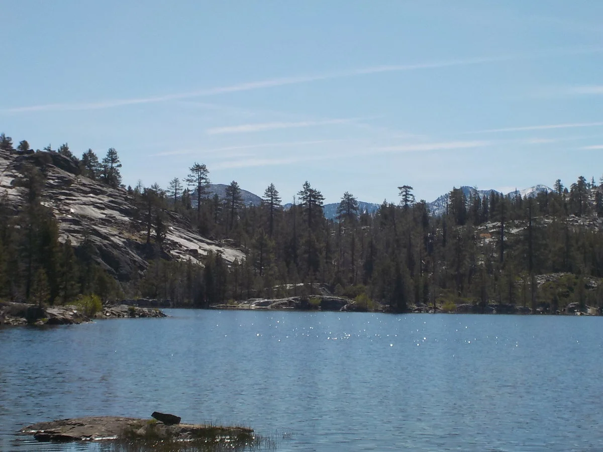 DSCN1085.webp