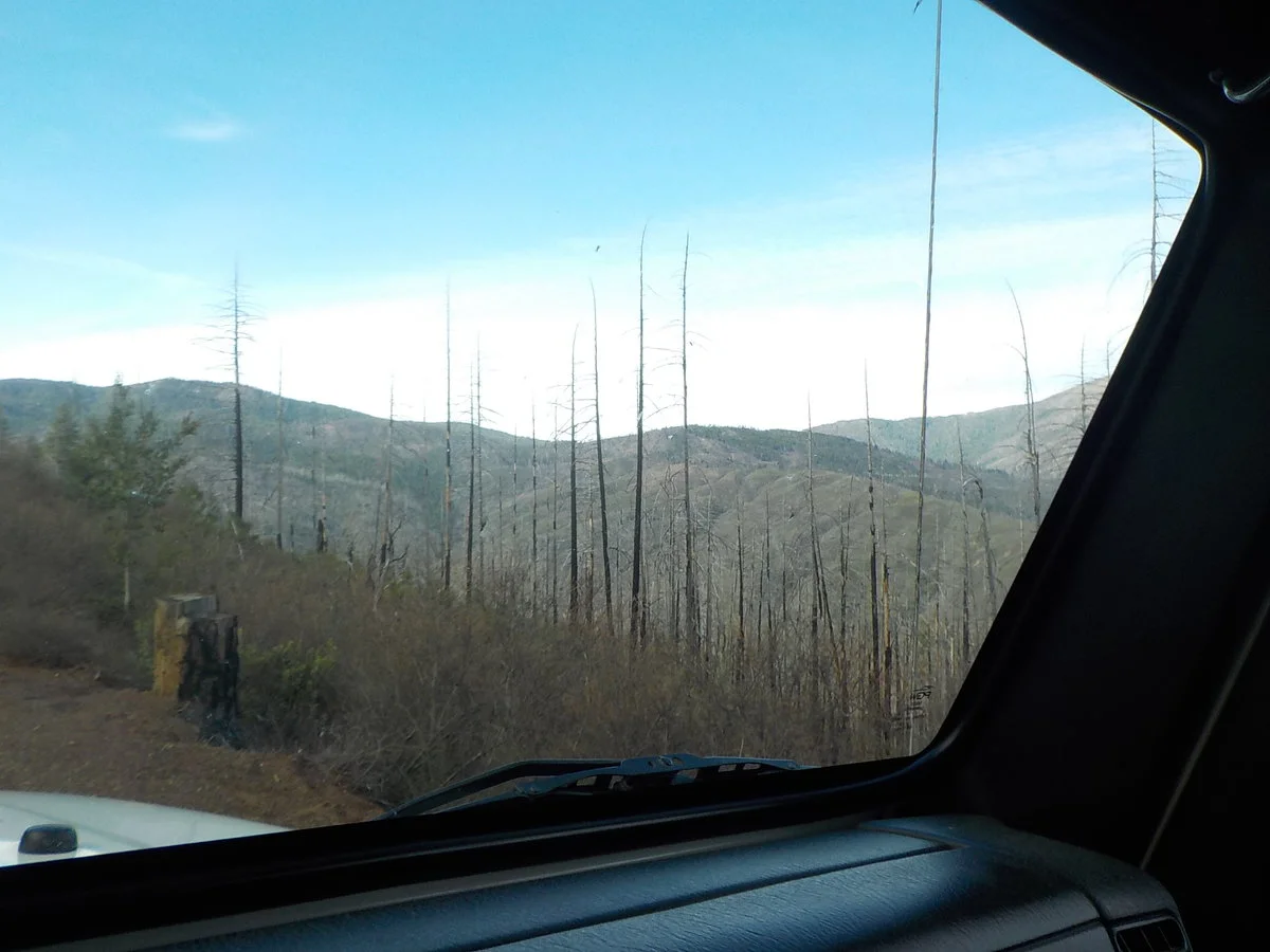 DSCN1103.JPG