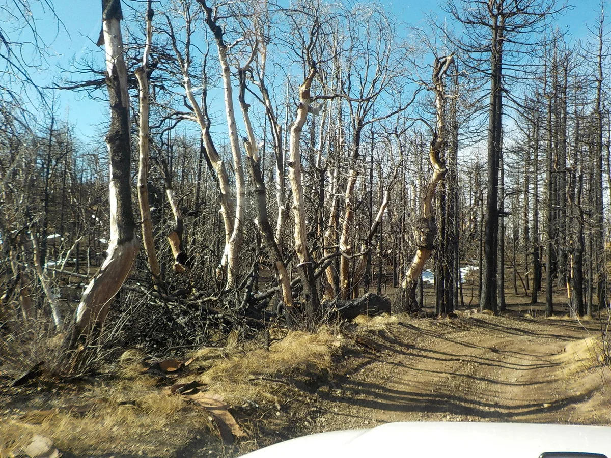 DSCN1110.JPG