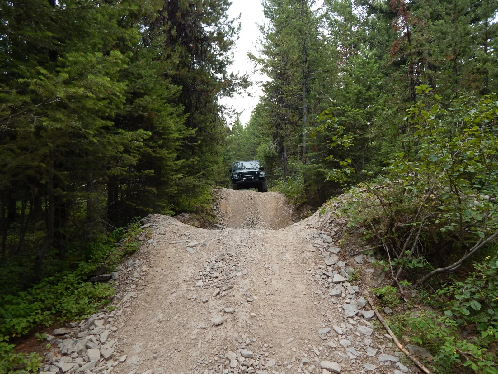 DSCN1127.webp