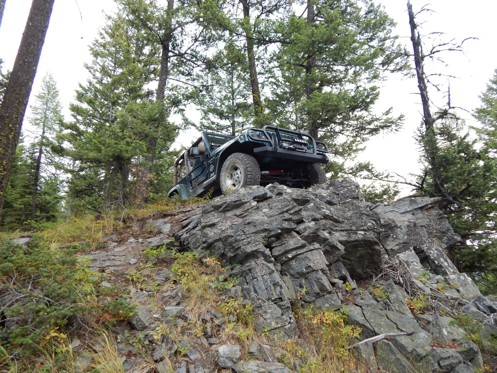 DSCN1137.webp