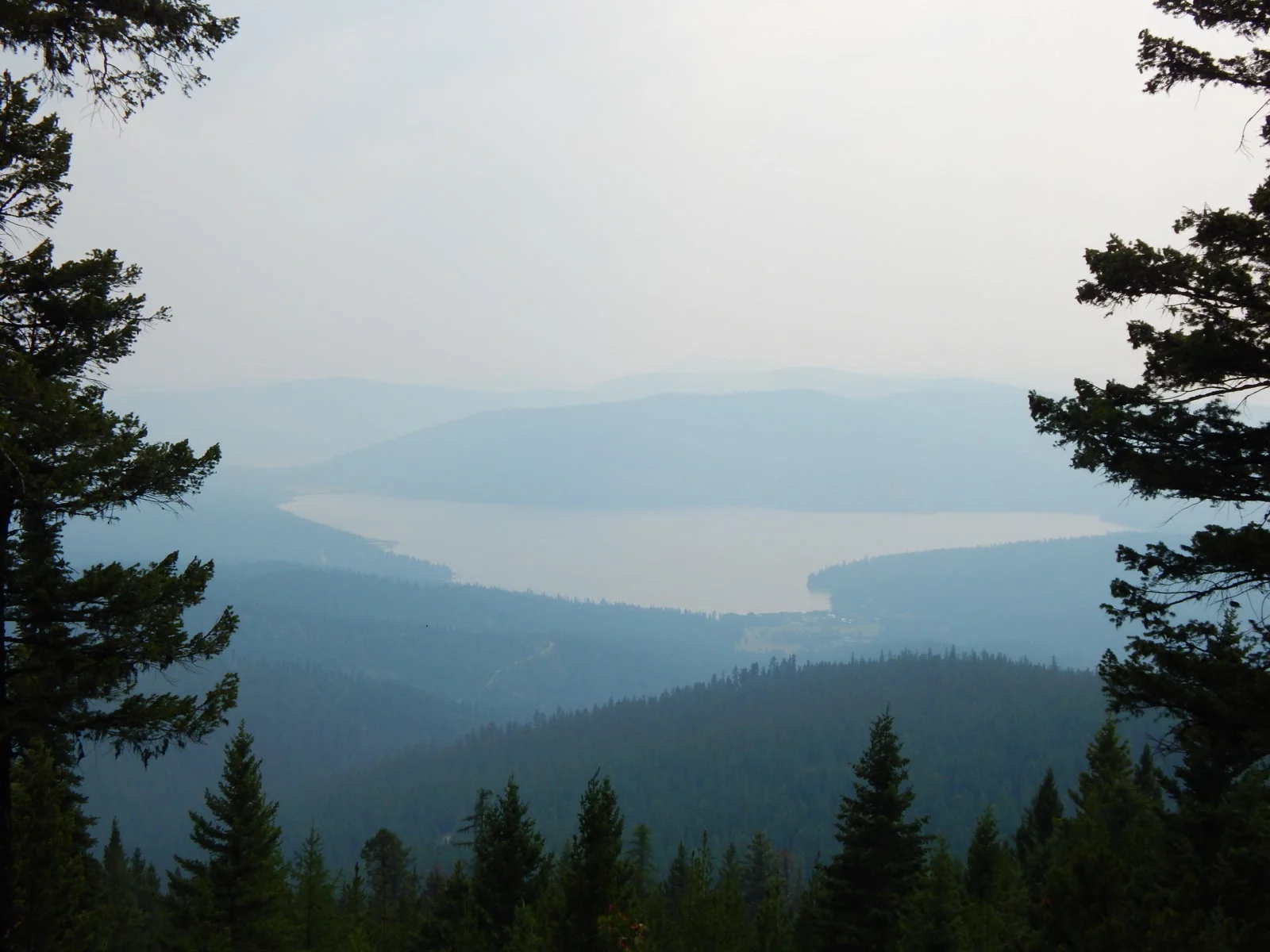 DSCN1144.webp