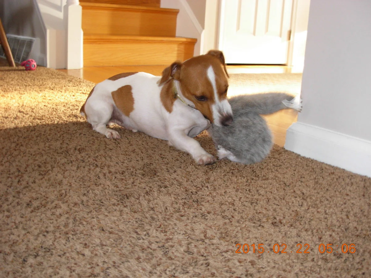 DSCN1169.webp