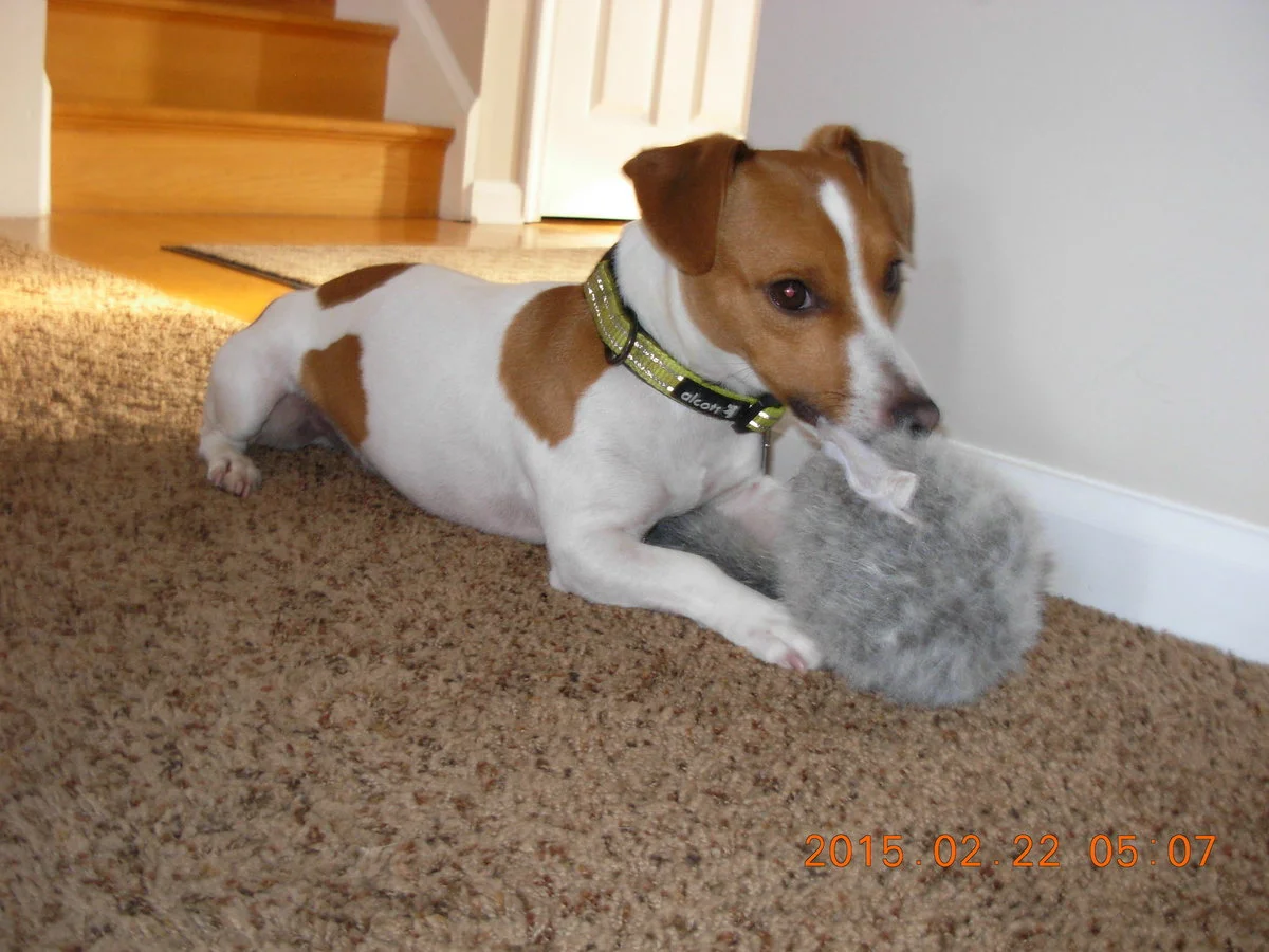 DSCN1170.webp