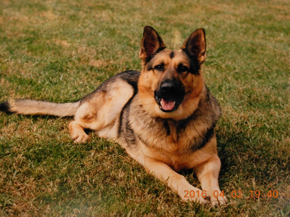 DSCN1253.webp