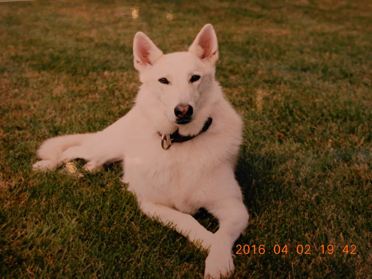DSCN1254.webp