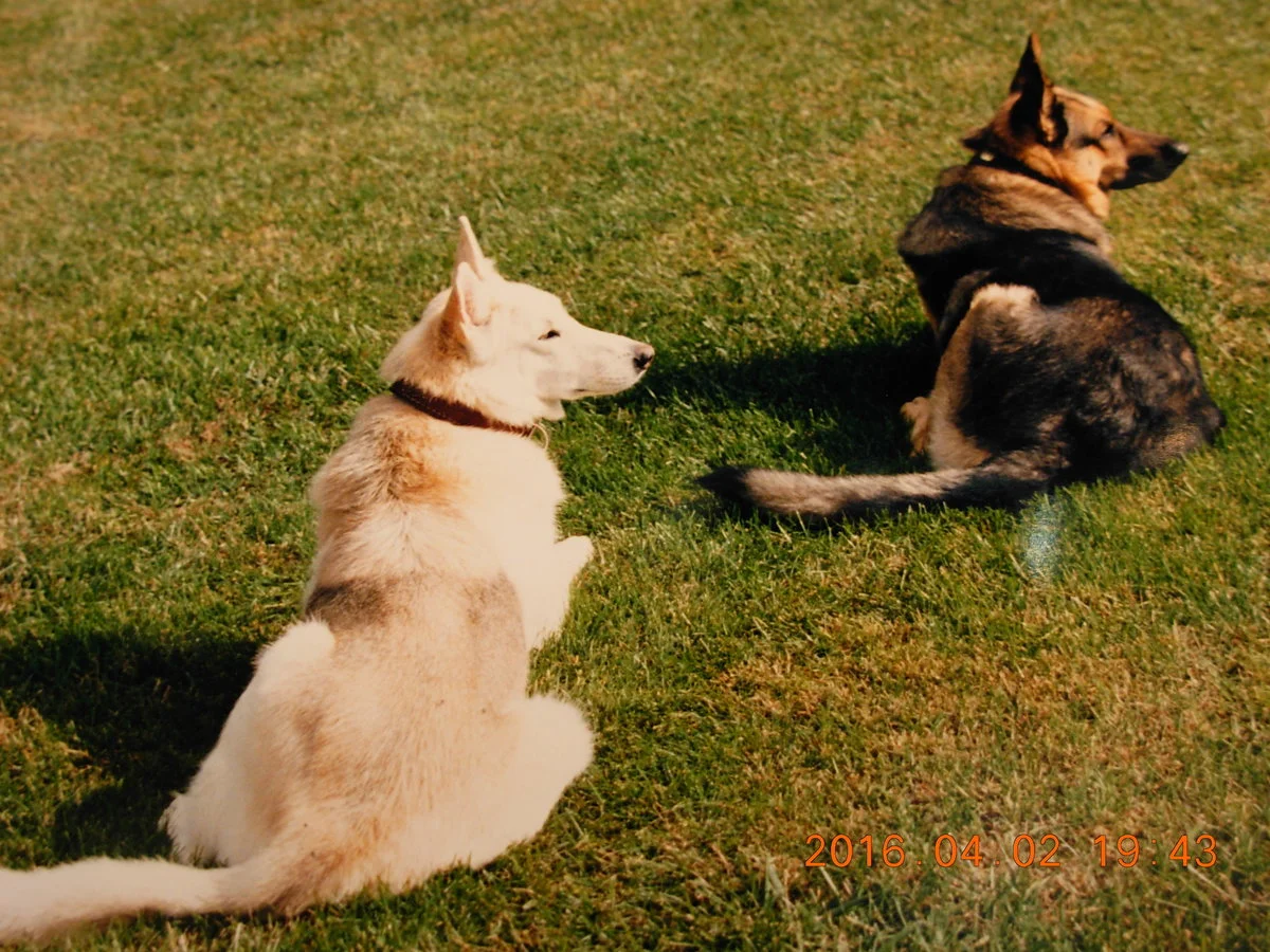 DSCN1256.webp