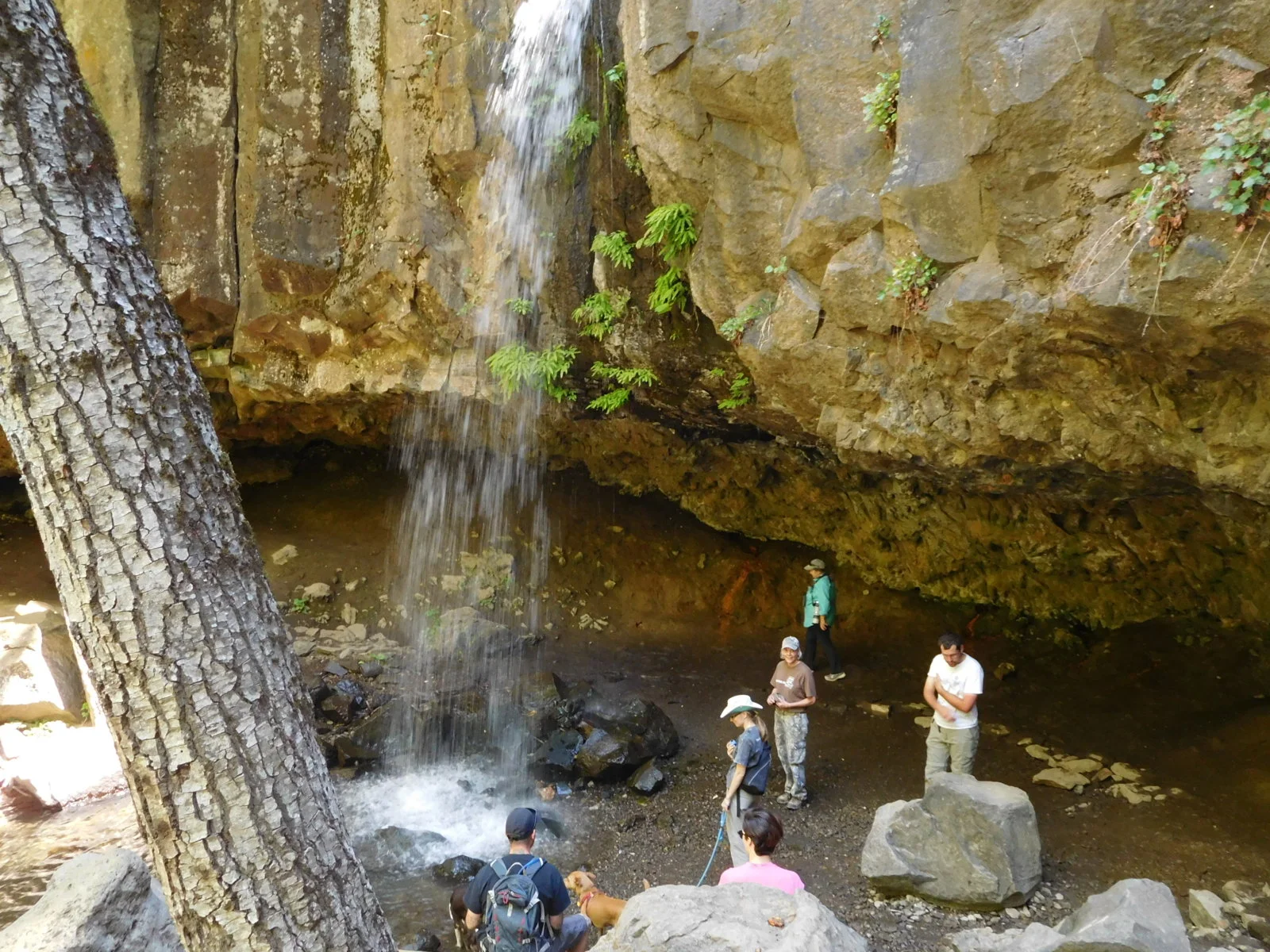 DSCN1292.webp