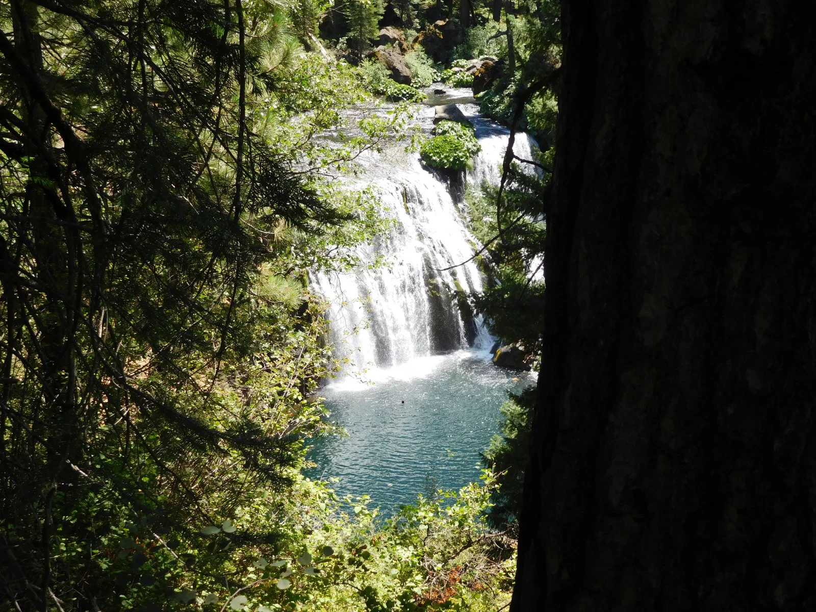 DSCN1300.webp