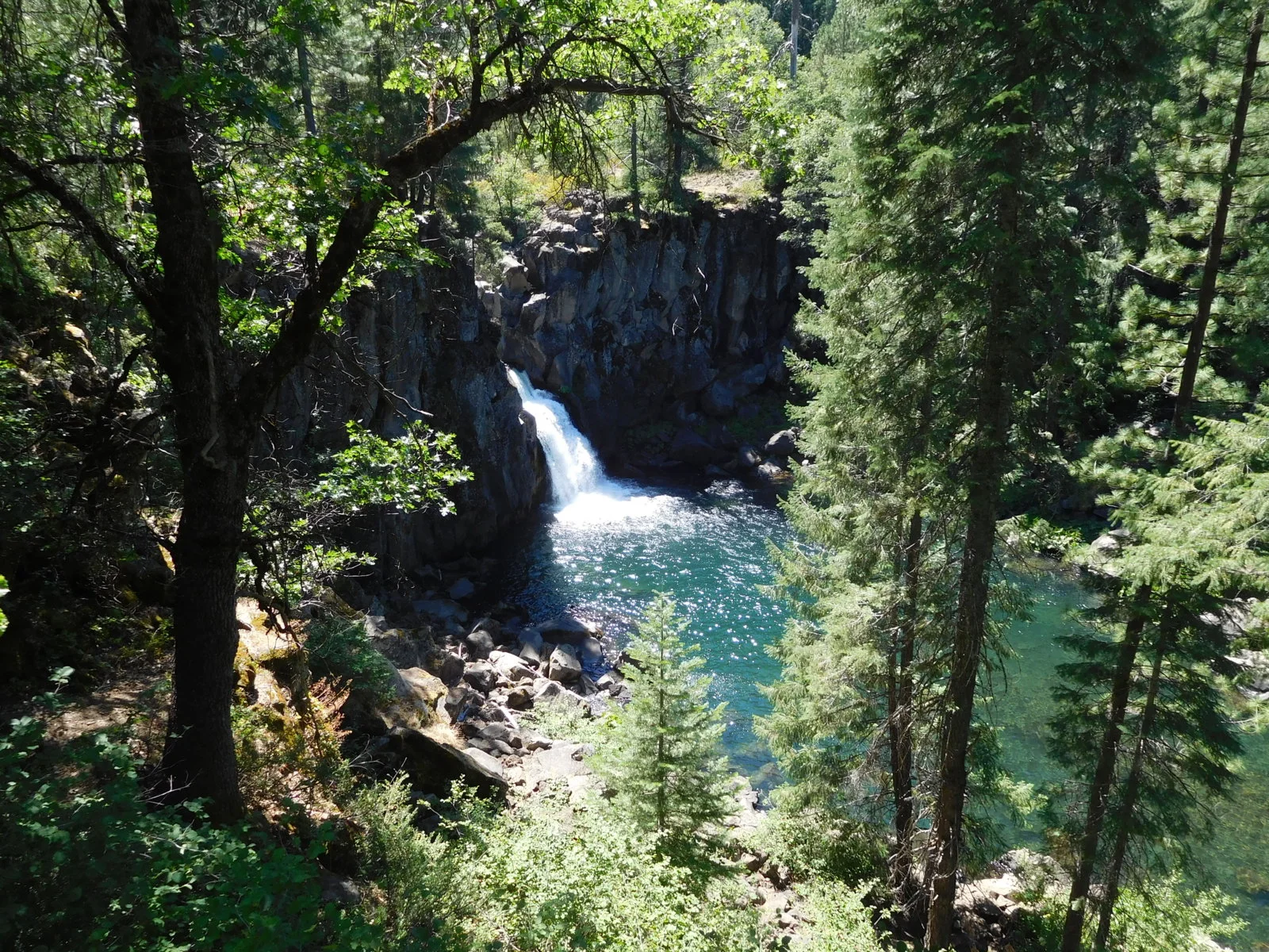DSCN1314.webp