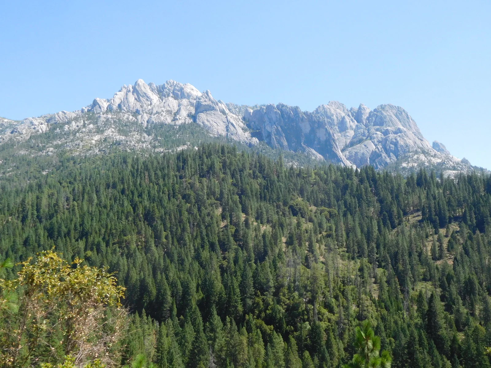 DSCN1319.webp