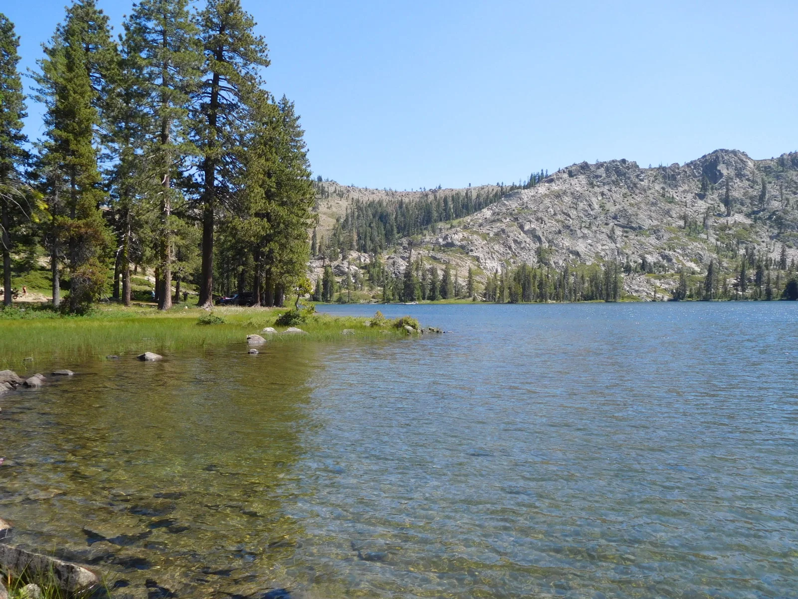 DSCN1342.webp