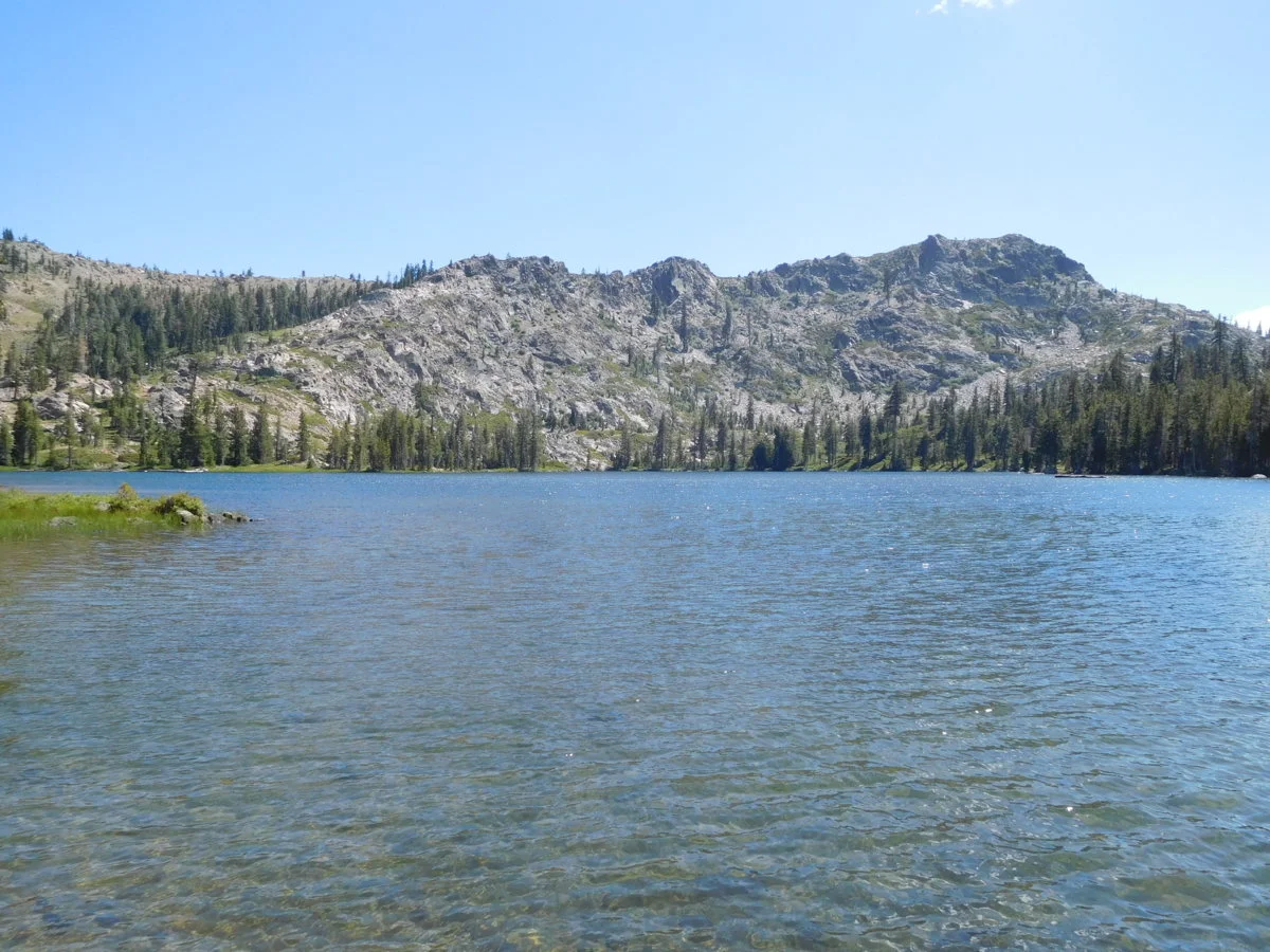 DSCN1343.webp