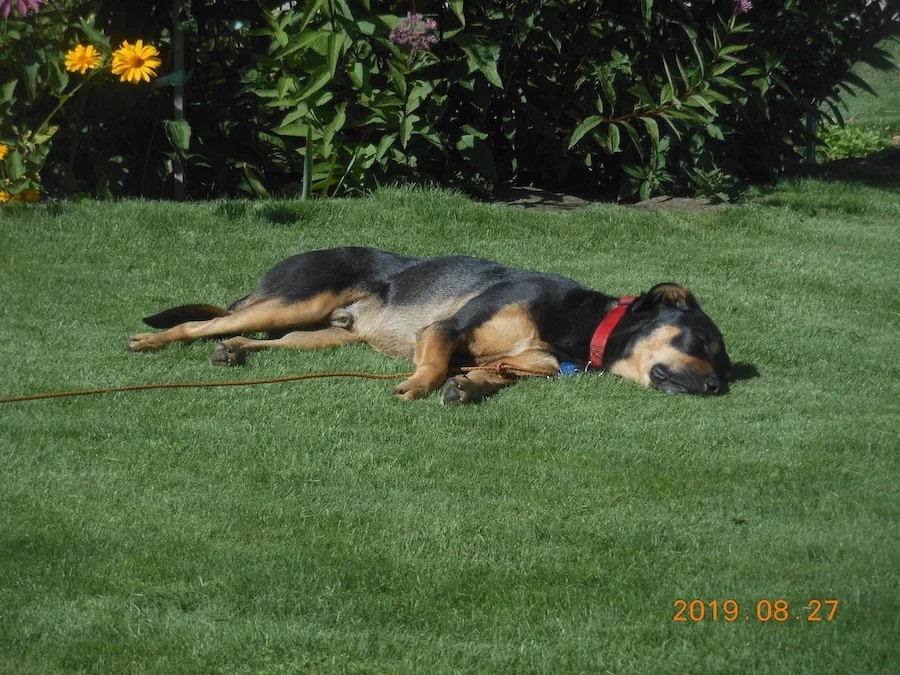 DSCN1499.webp