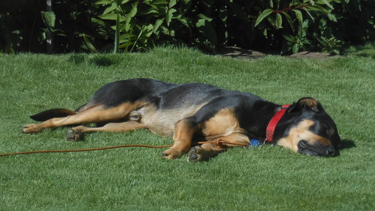 DSCN1499.webp