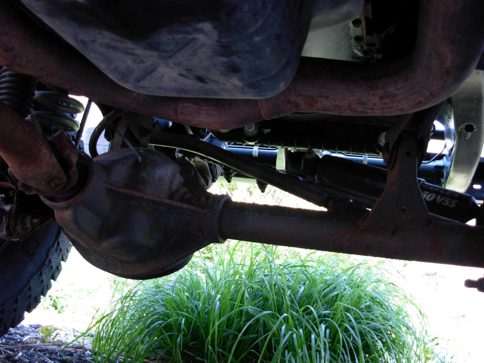 DSCN1526.webp