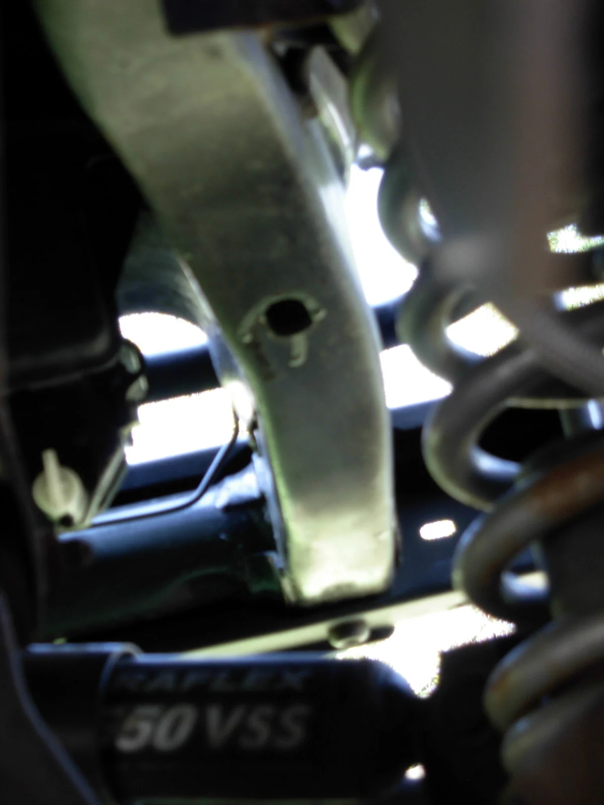 DSCN1528.webp