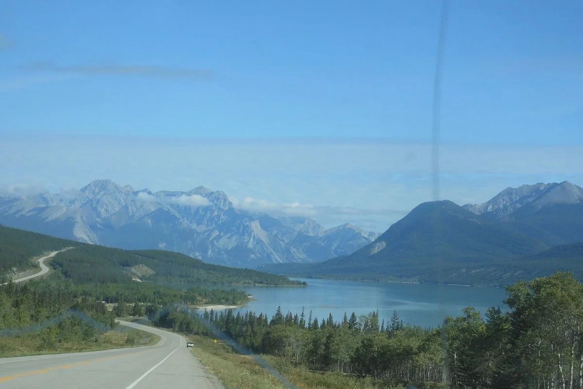 DSCN1545.webp