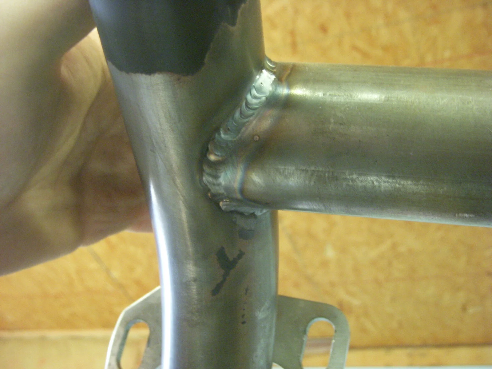 DSCN1889.webp