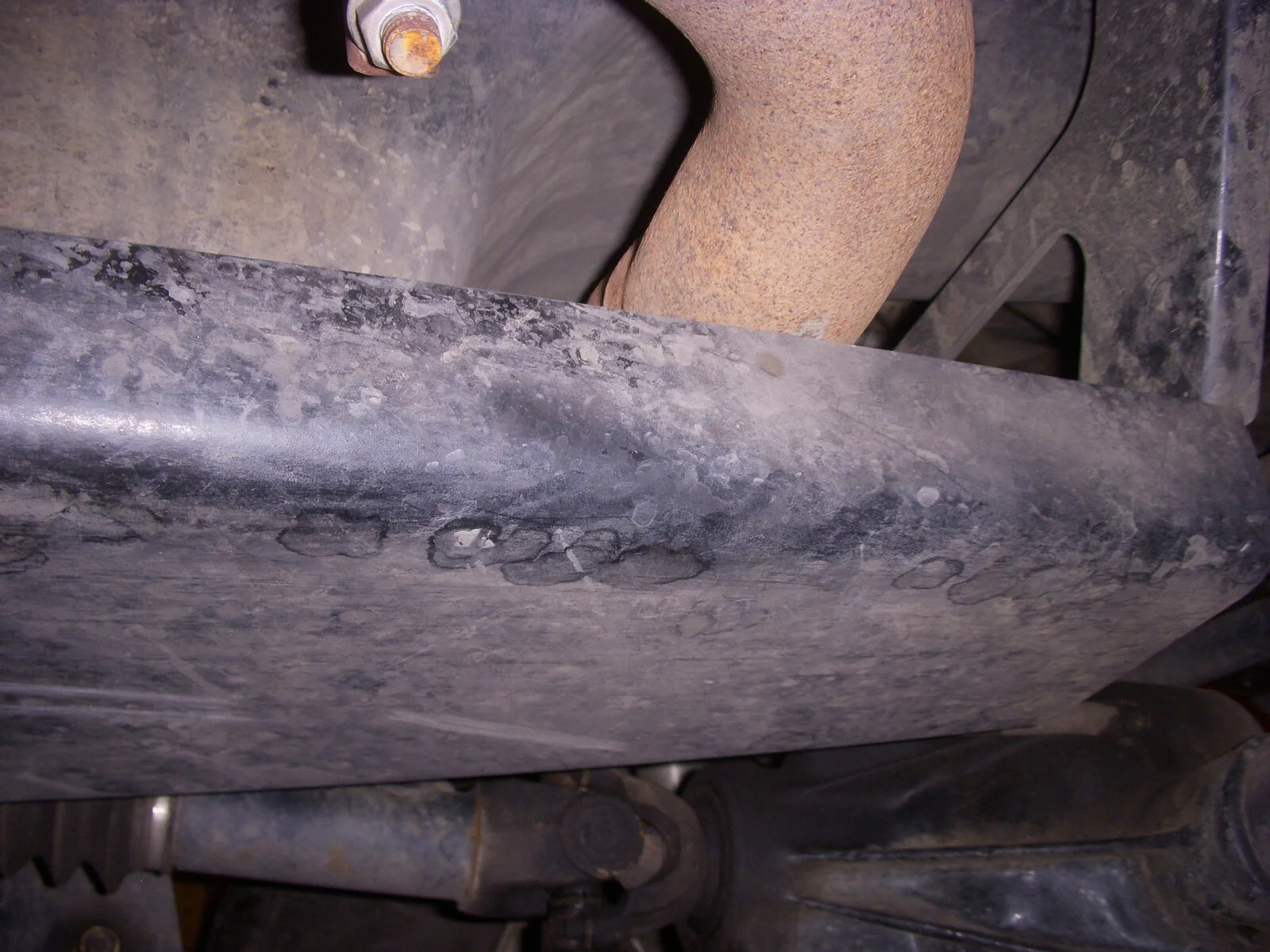 DSCN1908.webp