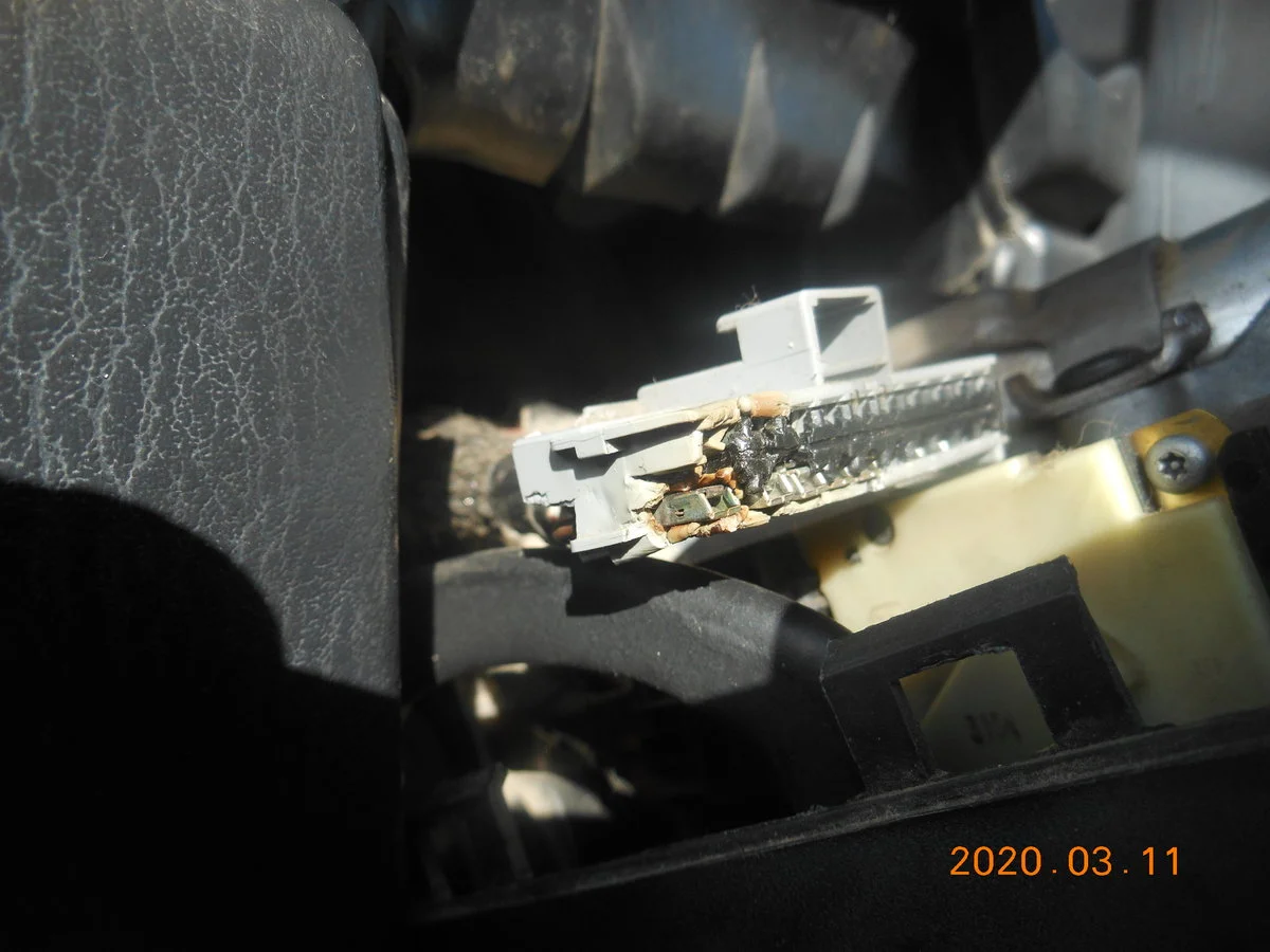 DSCN2263.webp