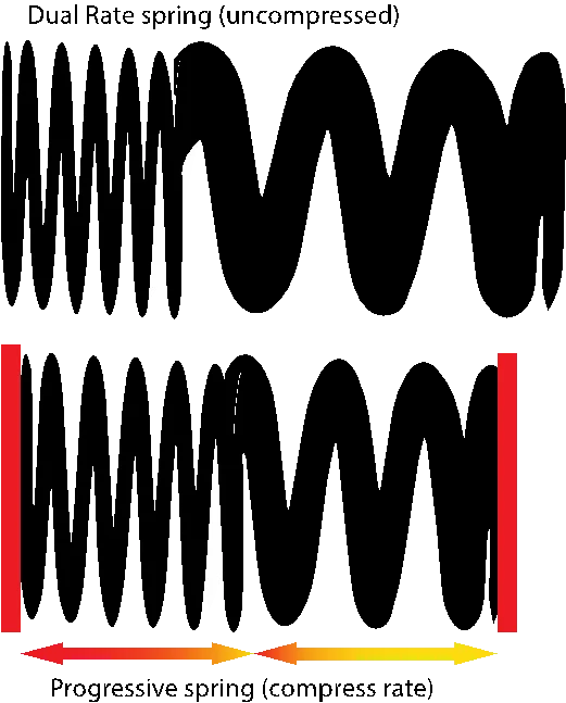 DualRateSpring.webp