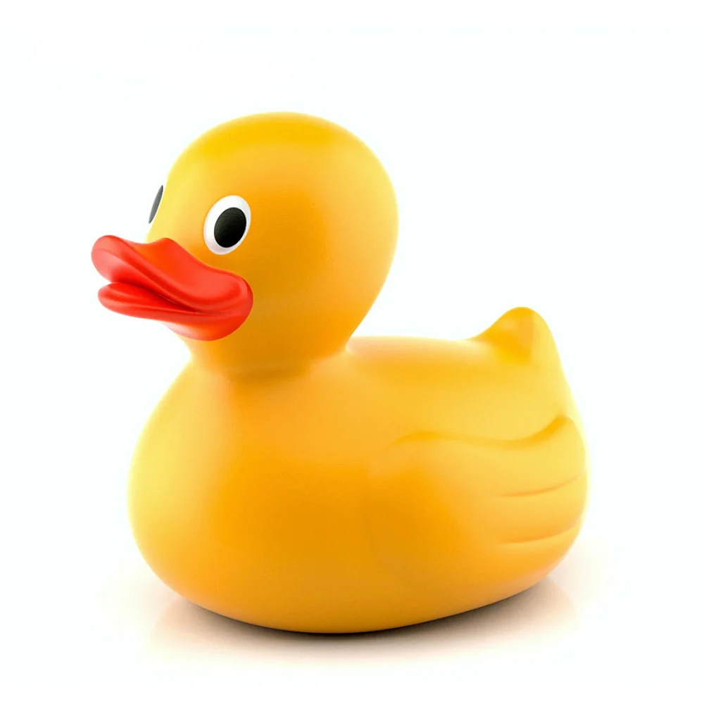 Duck.webp
