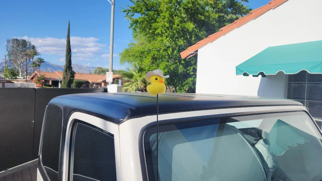 duck.jpg