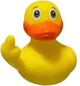 Duck you (2) (1).jpg
