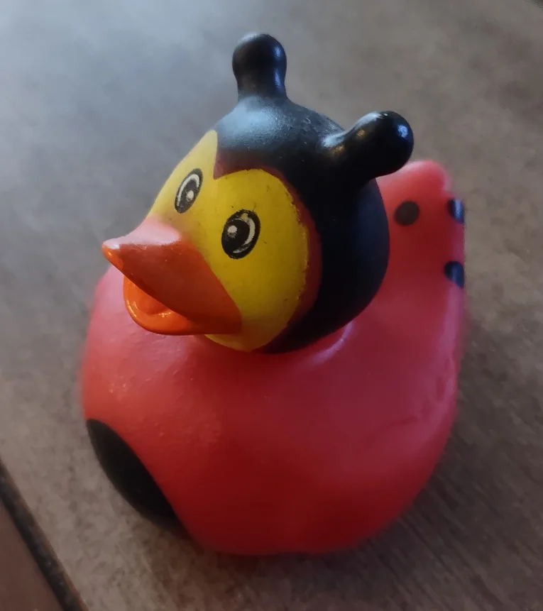 Ducked.webp