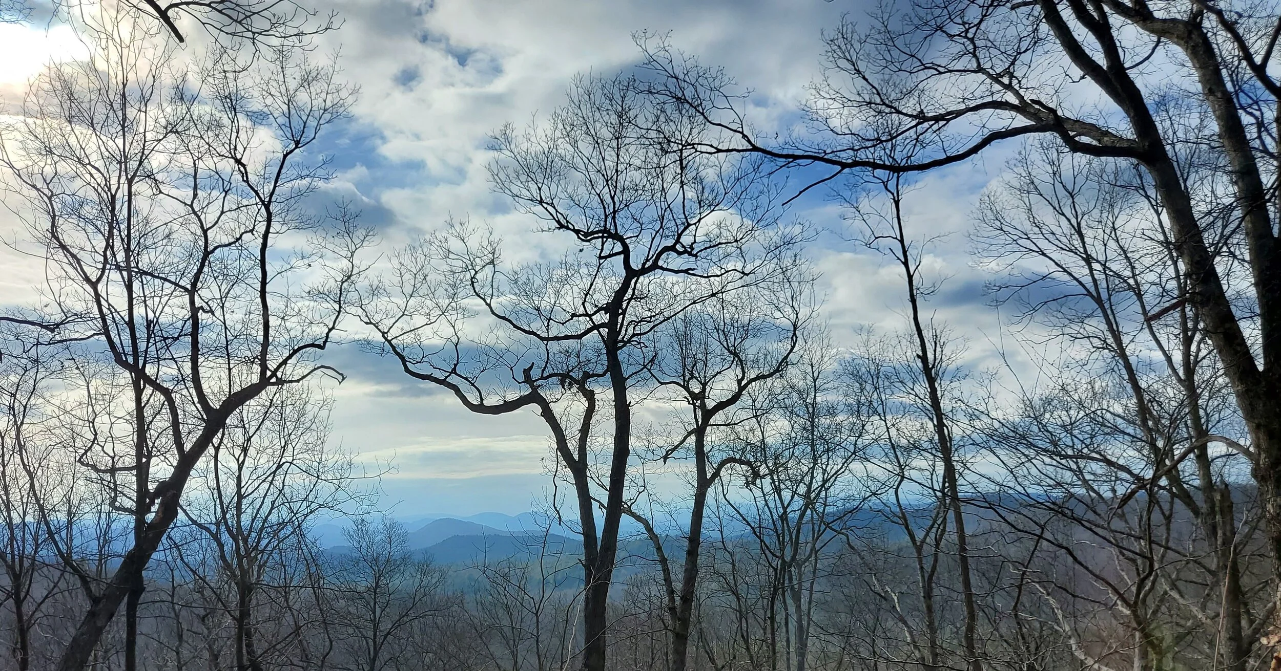 Duncan's Ridge Jan 24.webp