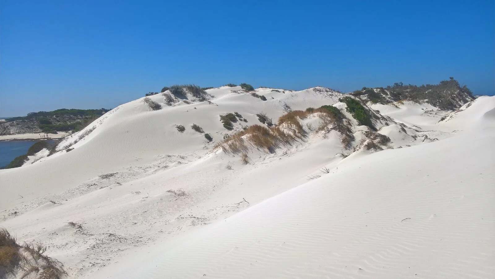 dunes.jpg